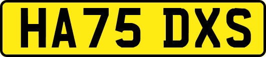 HA75DXS