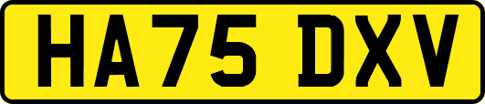 HA75DXV