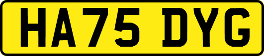 HA75DYG