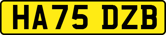HA75DZB