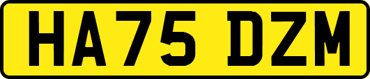 HA75DZM
