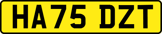 HA75DZT