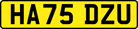 HA75DZU