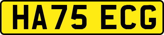 HA75ECG