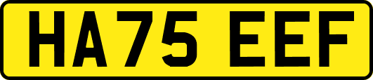 HA75EEF