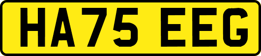 HA75EEG