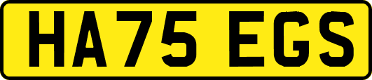 HA75EGS
