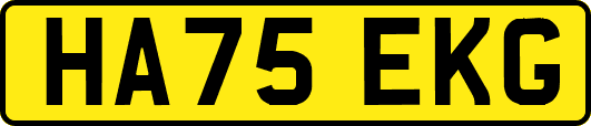 HA75EKG