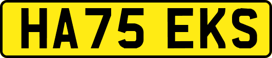 HA75EKS