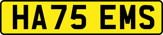 HA75EMS