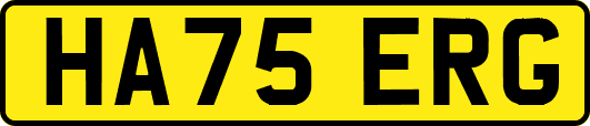 HA75ERG