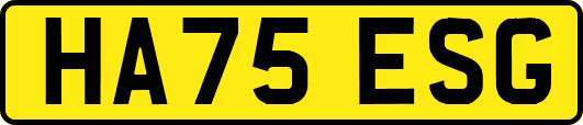HA75ESG