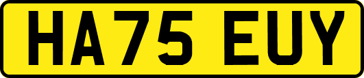 HA75EUY