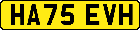HA75EVH