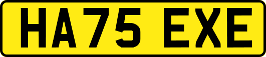 HA75EXE