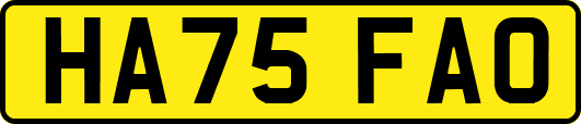 HA75FAO