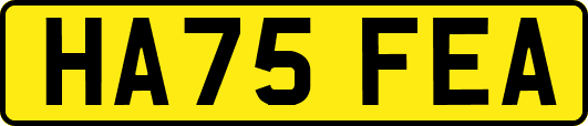 HA75FEA