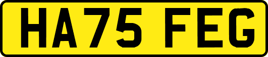 HA75FEG