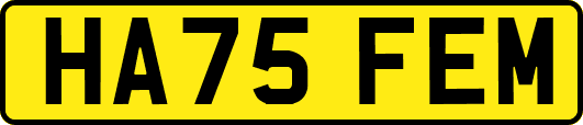 HA75FEM