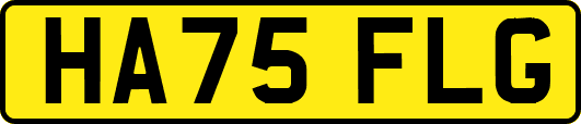 HA75FLG