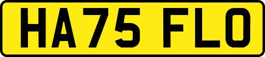 HA75FLO