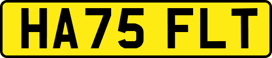 HA75FLT
