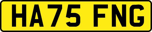 HA75FNG