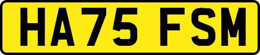 HA75FSM