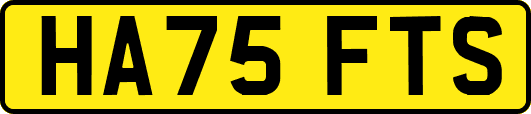 HA75FTS