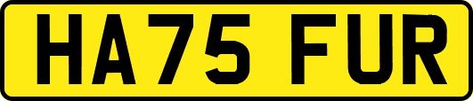 HA75FUR