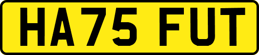 HA75FUT