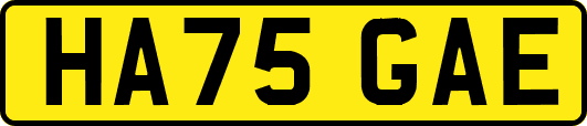 HA75GAE
