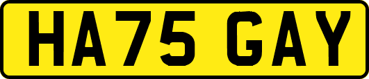 HA75GAY