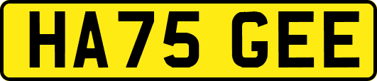 HA75GEE