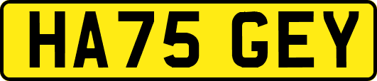 HA75GEY