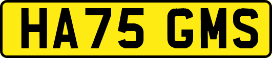 HA75GMS