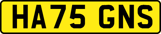 HA75GNS