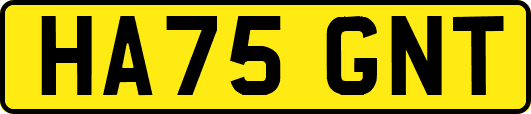 HA75GNT