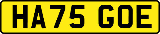 HA75GOE
