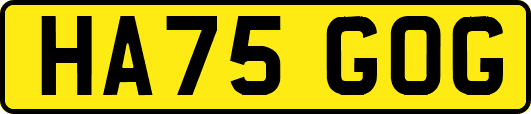HA75GOG