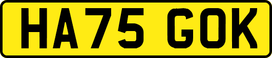 HA75GOK