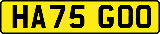 HA75GOO