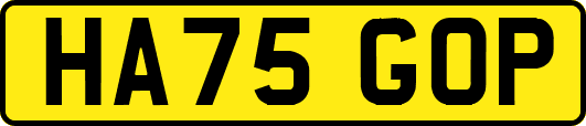 HA75GOP