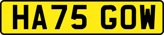 HA75GOW