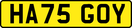 HA75GOY