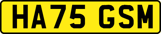 HA75GSM