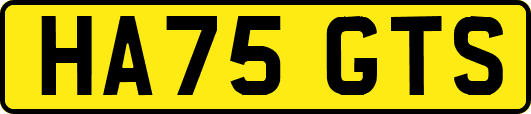 HA75GTS