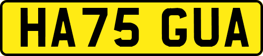 HA75GUA