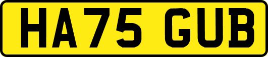 HA75GUB