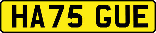 HA75GUE